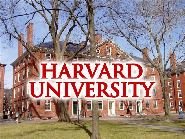harvard university