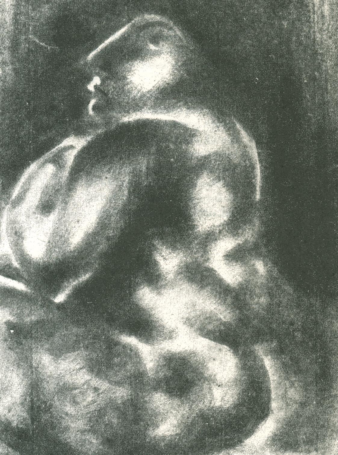 grafike-e-Arif-Dino-16