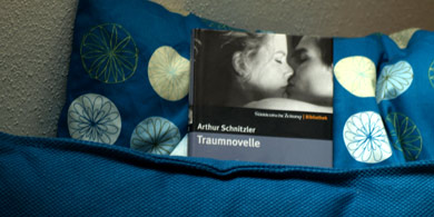 traumnovelle2