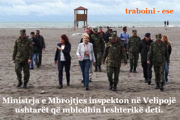 Ushtria-ministrja-pastrim-Velipoje_traboini ese